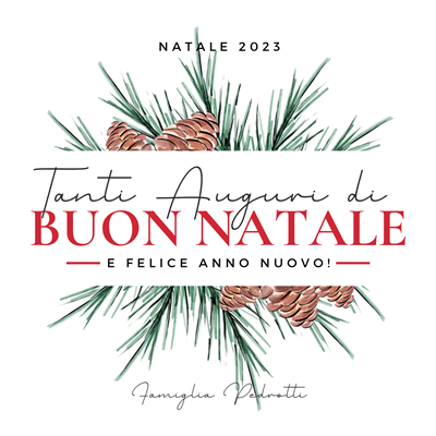 BUON NATALE E FELICE ANNO NUOVO!